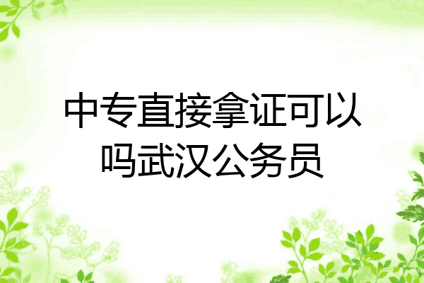 中专直接拿证可以吗武汉公务员