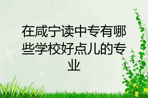 在咸宁读中专有哪些学校好点儿的专业