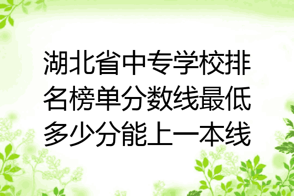 湖北省中专学校排名榜单分数线最低多少分能上一本线