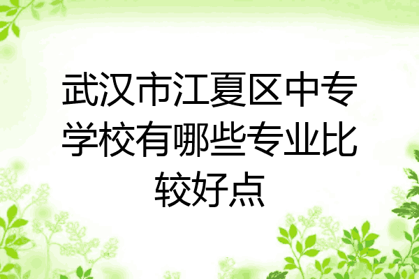 武汉市江夏区中专学校有哪些专业比较好点