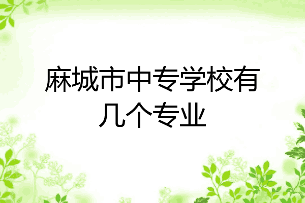 麻城市中专学校有几个专业