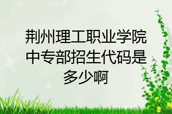 荆州理工职业学院中专部招生代码是多少啊