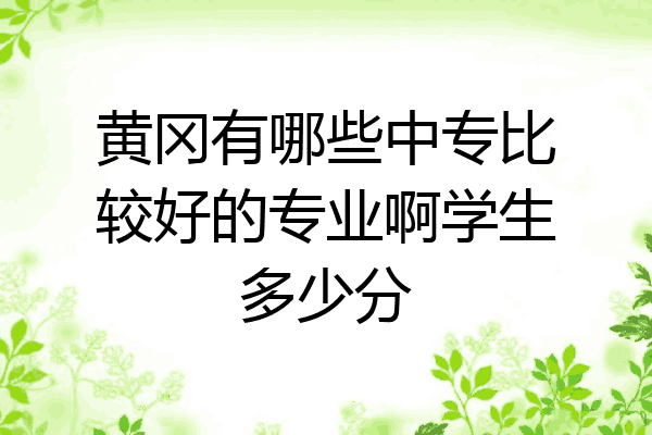 黄冈有哪些中专比较好的专业啊学生多少分