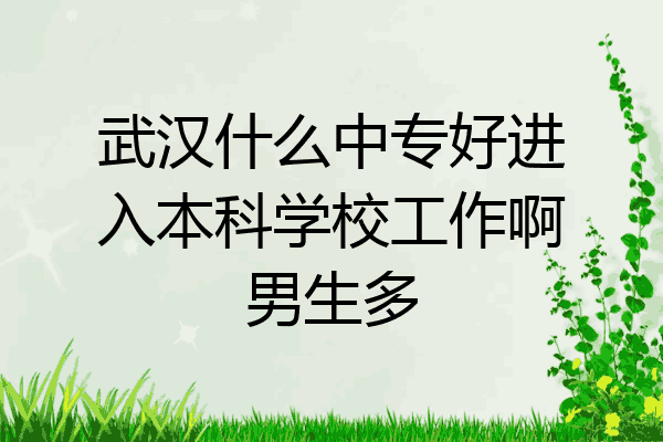 武汉什么中专好进入本科学校工作啊男生多