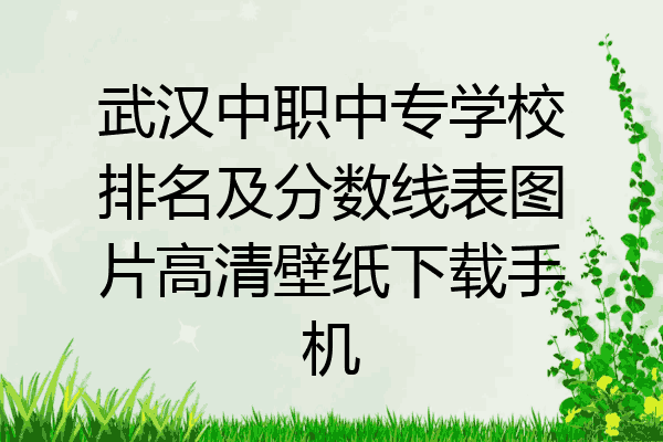 武汉中职中专学校排名及分数线表图片高清壁纸下载手机
