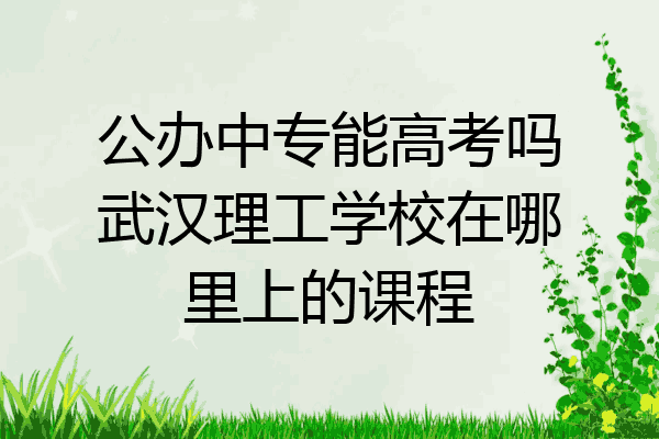 公办中专能高考吗武汉理工学校在哪里上的课程