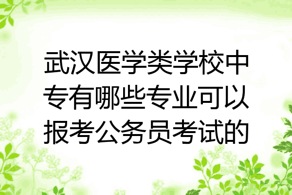 武汉医学类学校中专有哪些专业可以报考公务员考试的