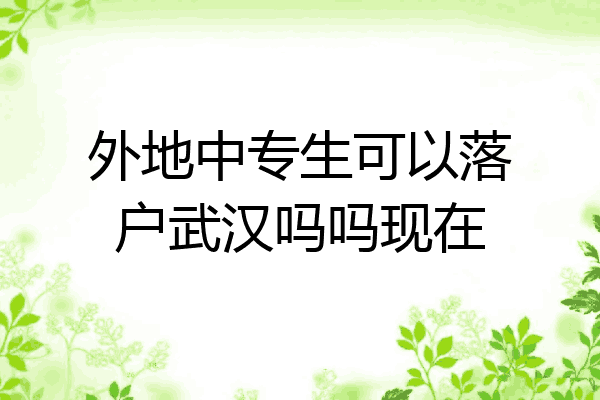 外地中专生可以落户武汉吗吗现在