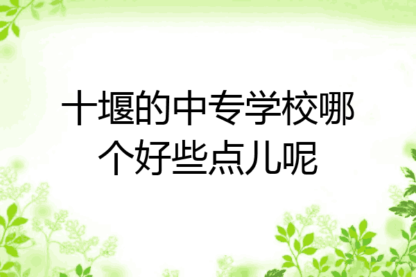 十堰的中专学校哪个好些点儿呢