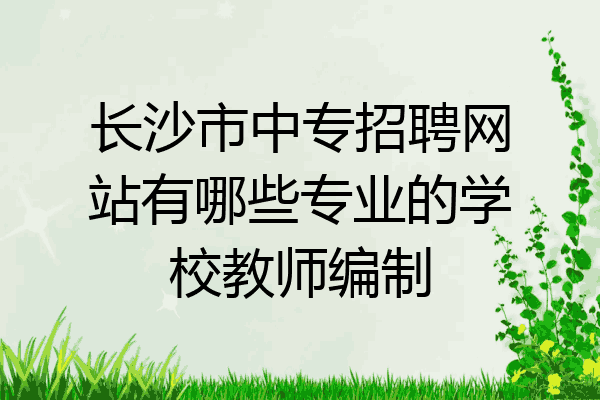长沙市中专招聘网站有哪些专业的学校教师编制