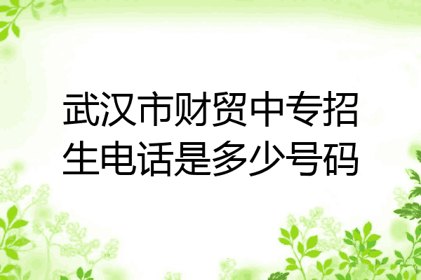 武汉市财贸中专招生电话是多少号码