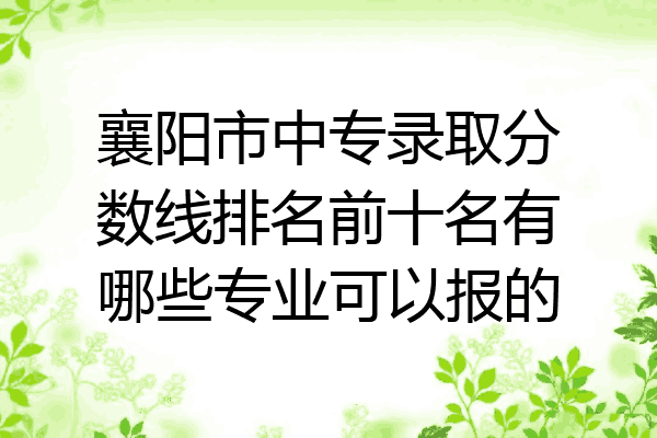 襄阳市中专录取分数线排名前十名有哪些专业可以报的