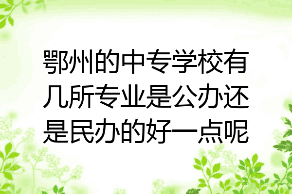 鄂州的中专学校有几所专业是公办还是民办的好一点呢