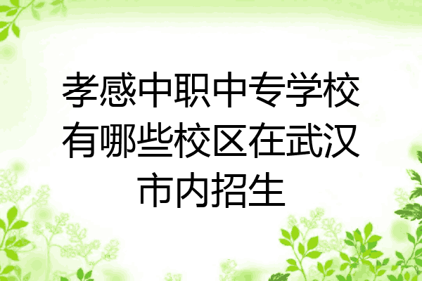 孝感中职中专学校有哪些校区在武汉市内招生