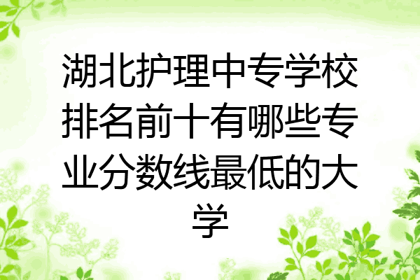 湖北护理中专学校排名前十有哪些专业分数线最低的大学