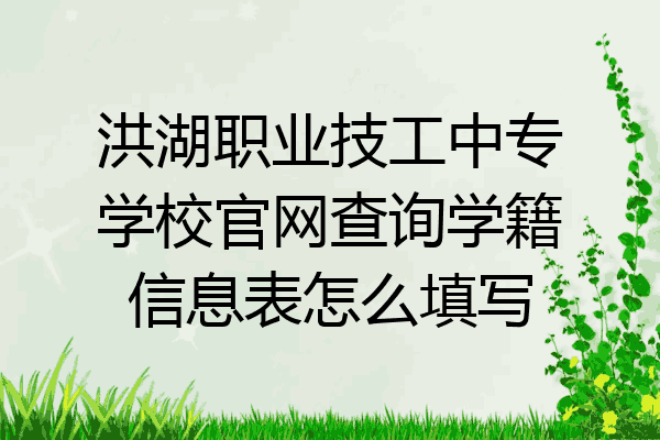 洪湖职业技工中专学校官网查询学籍信息表怎么填写