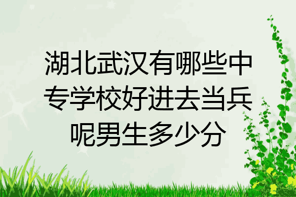 湖北武汉有哪些中专学校好进去当兵呢男生多少分