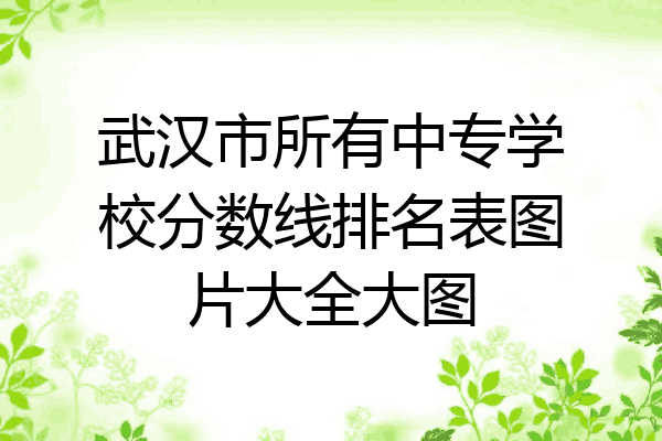 武汉市所有中专学校分数线排名表图片大全大图