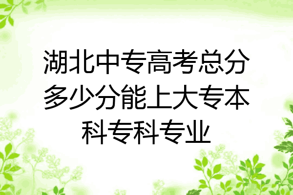 湖北中专高考总分多少分能上大专本科专科专业