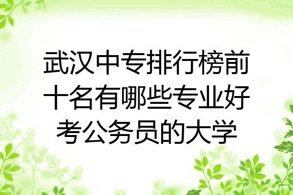 武汉中专排行榜前十名有哪些专业好考公务员的大学