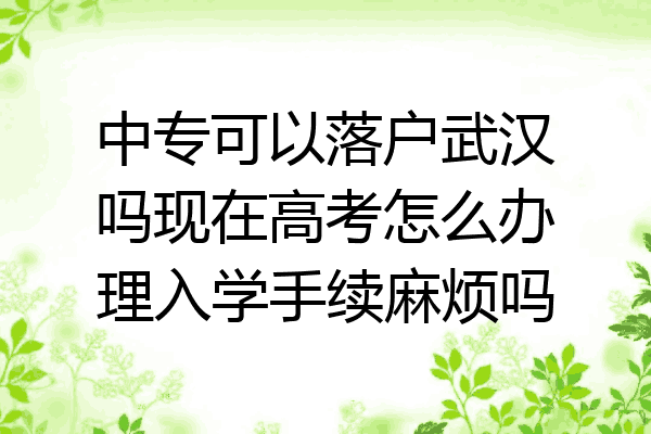 中专可以落户武汉吗现在高考怎么办理入学手续麻烦吗