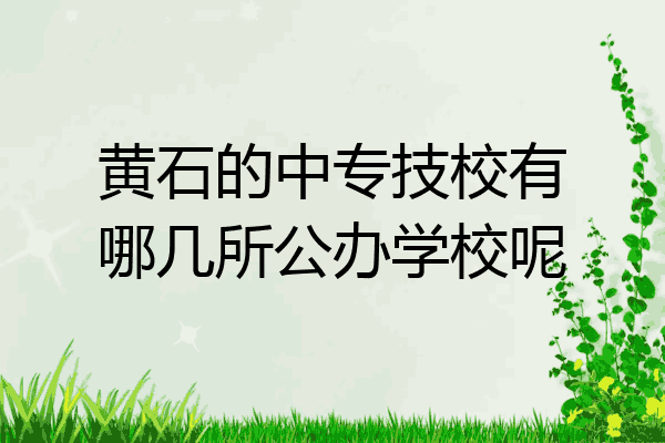 黄石的中专技校有哪几所公办学校呢