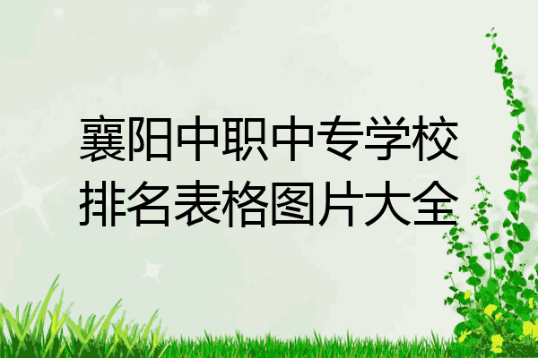 襄阳中职中专学校排名表格图片大全