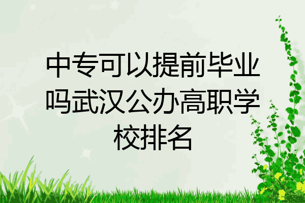 中专可以提前毕业吗武汉公办高职学校排名