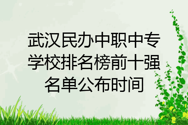 武汉民办中职中专学校排名榜前十强名单公布时间