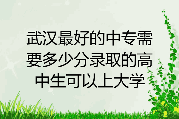 武汉最好的中专需要多少分录取的高中生可以上大学