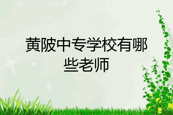 黄陂中专学校有哪些老师