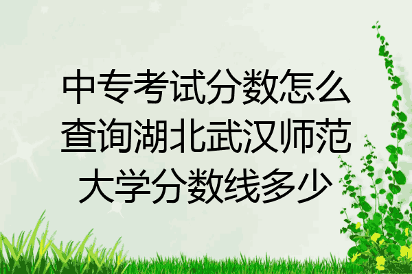 中专考试分数怎么查询湖北武汉师范大学分数线多少