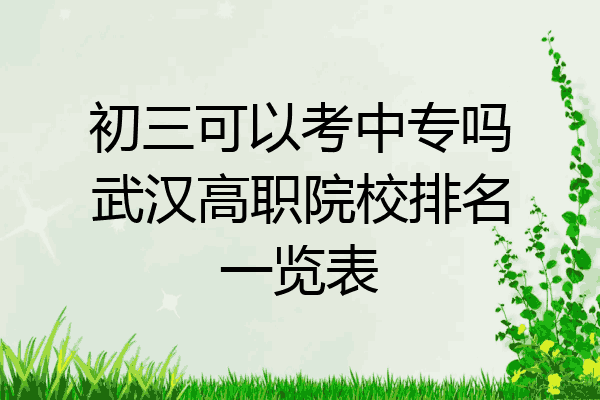 初三可以考中专吗武汉高职院校排名一览表