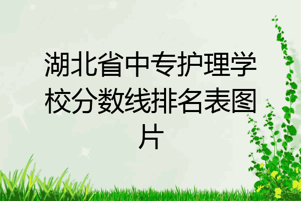 湖北省中专护理学校分数线排名表图片