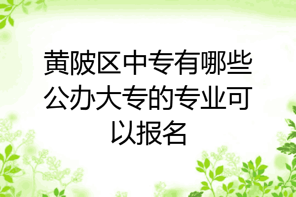 黄陂区中专有哪些公办大专的专业可以报名