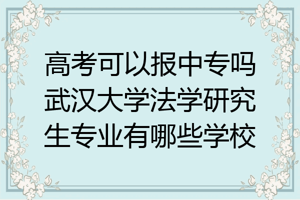 高考可以报中专吗武汉大学法学研究生专业有哪些学校