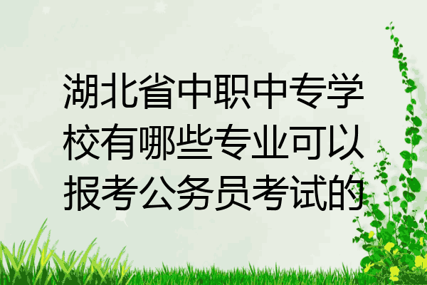 湖北省中职中专学校有哪些专业可以报考公务员考试的
