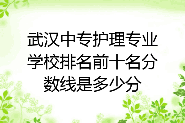武汉中专护理专业学校排名前十名分数线是多少分