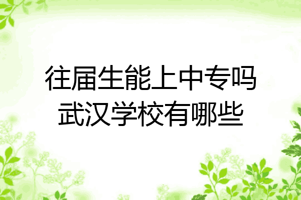 往届生能上中专吗武汉学校有哪些