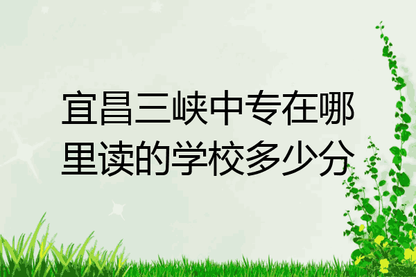 宜昌三峡中专在哪里读的学校多少分
