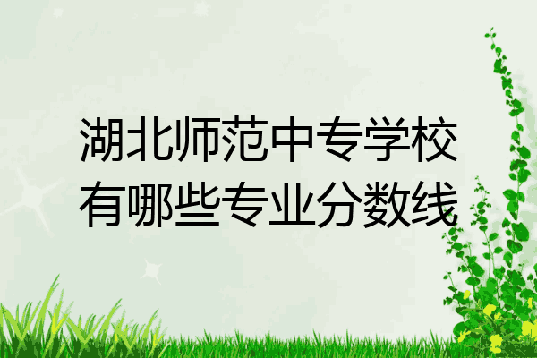 湖北师范中专学校有哪些专业分数线