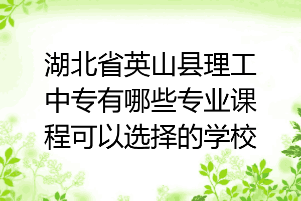 湖北省英山县理工中专有哪些专业课程可以选择的学校