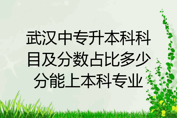 武汉中专升本科科目及分数占比多少分能上本科专业