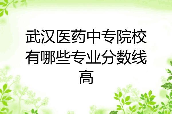 武汉医药中专院校有哪些专业分数线高