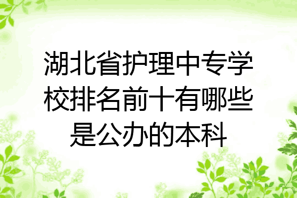 湖北省护理中专学校排名前十有哪些是公办的本科