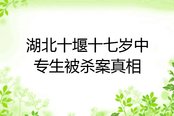 湖北十堰十七岁中专生被杀案真相