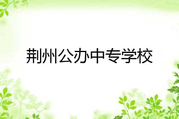 荆州公办中专学校