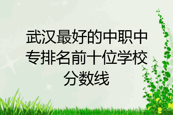 武汉最好的中职中专排名前十位学校分数线