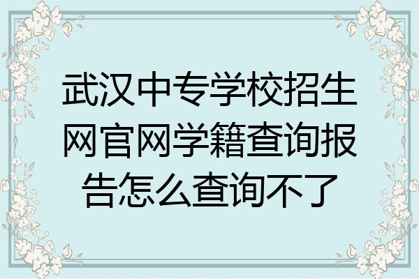 武汉中专学校招生网官网学籍查询报告怎么查询不了