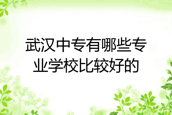 武汉中专有哪些专业学校比较好的
